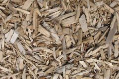 biomass boilers Pentre Celyn